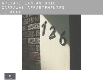 Apetatitlán Antonio Carbajal  appartementen te koop