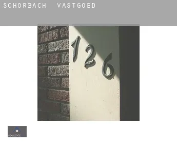 Schorbach  vastgoed