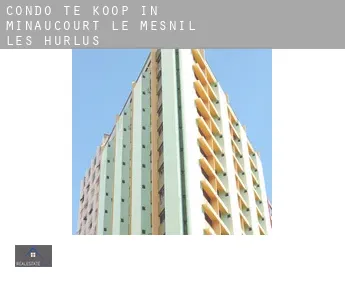 Condo te koop in  Minaucourt-le-Mesnil-lès-Hurlus