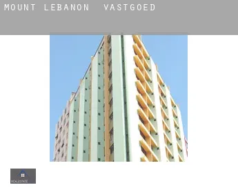 Mount Lebanon  vastgoed