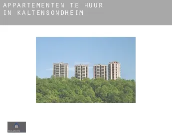 Appartementen te huur in  Kaltensondheim