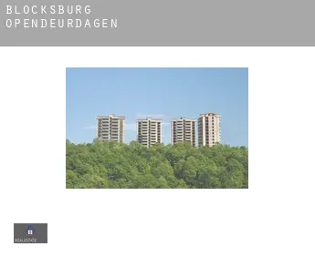 Blocksburg  opendeurdagen