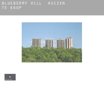 Blueberry Hill  huizen te koop