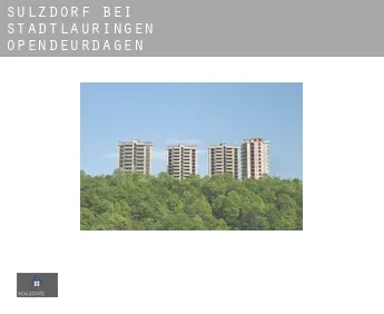 Sulzdorf bei Stadtlauringen  opendeurdagen