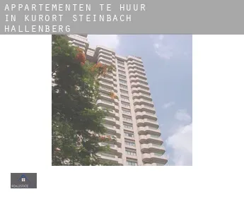 Appartementen te huur in  Kurort Steinbach-Hallenberg