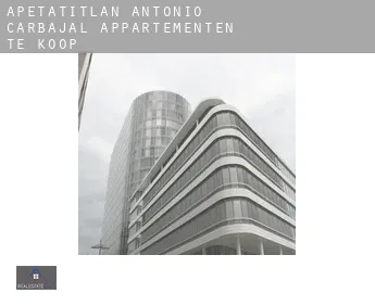 Apetatitlán Antonio Carbajal  appartementen te koop