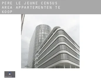 Père-Le Jeune (census area)  appartementen te koop