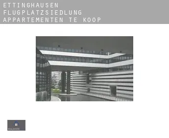 Ettinghausen Flugplatzsiedlung  appartementen te koop