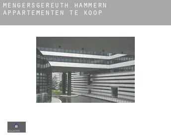 Mengersgereuth-Hämmern  appartementen te koop