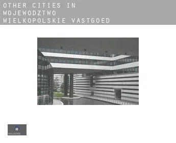 Other cities in Wojewodztwo Wielkopolskie  vastgoed