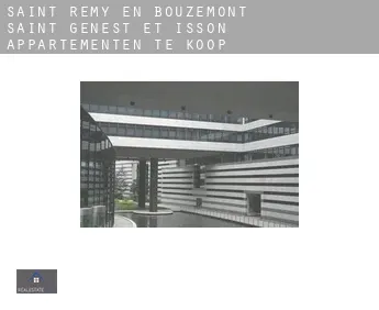 Saint-Remy-en-Bouzemont-Saint-Genest-et-Isson  appartementen te koop
