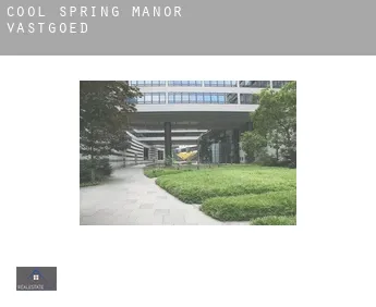 Cool Spring Manor  vastgoed