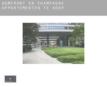 Domfront-en-Champagne  appartementen te koop