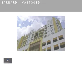 Barnard  vastgoed