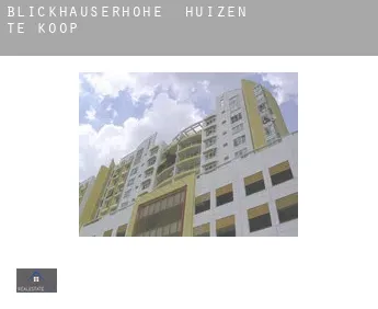Blickhauserhöhe  huizen te koop
