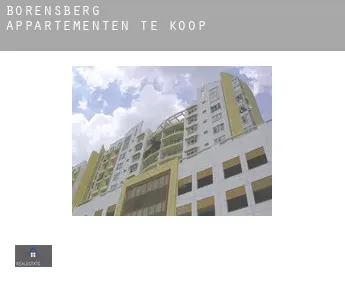 Borensberg  appartementen te koop
