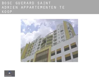 Bosc-Guérard-Saint-Adrien  appartementen te koop
