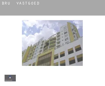 Brû  vastgoed