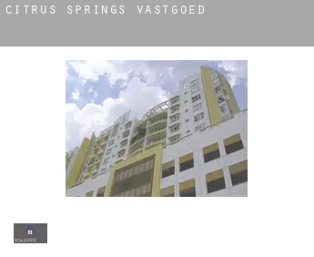 Citrus Springs  vastgoed