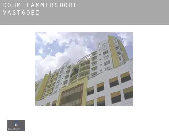 Dohm-Lammersdorf  vastgoed