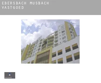 Ebersbach-Musbach  vastgoed