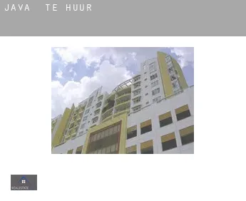 Java  te huur