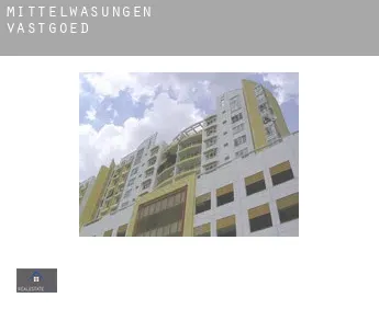 Mittelwasungen  vastgoed