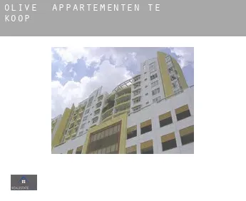 Olive  appartementen te koop