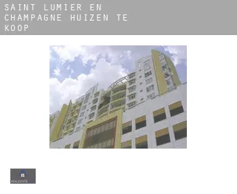 Saint-Lumier-en-Champagne  huizen te koop