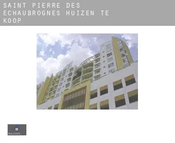 Saint-Pierre-des-Échaubrognes  huizen te koop