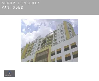 Sörup-Dingholz  vastgoed