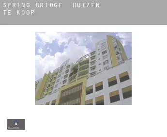 Spring Bridge huizen te koop