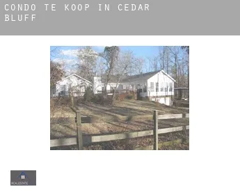 Condo te koop in  Cedar Bluff