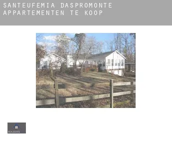 Sant'Eufemia d'Aspromonte  appartementen te koop