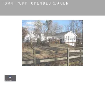 Town Pump  opendeurdagen