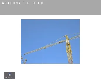 Ahaluna  te huur