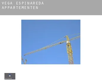 Vega de Espinareda  appartementen