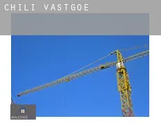 Chili vastgoed