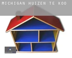 Michigan  huizen te koop