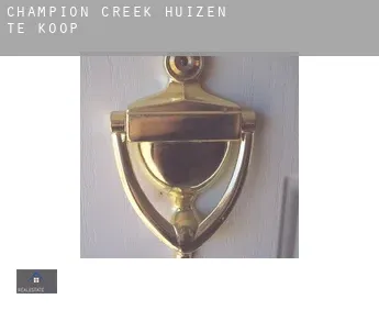 Champion Creek  huizen te koop