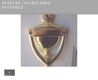 Herrera de Valdecañas  vastgoed