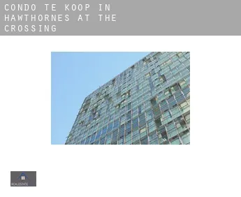 Condo te koop in  Hawthornes At The Crossing