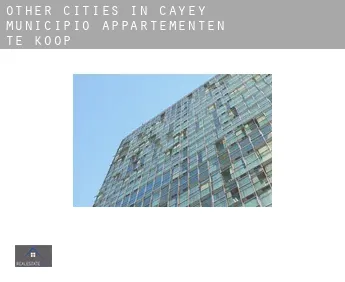 Other cities in Cayey Municipio  appartementen te koop