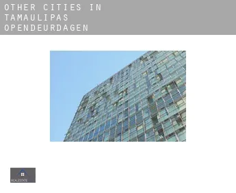 Other cities in Tamaulipas  opendeurdagen