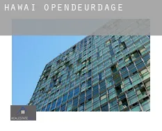 Hawaï opendeurdagen