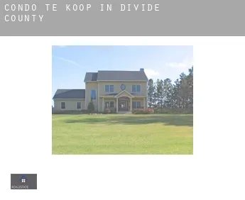 Condo te koop in  Divide County