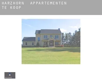 Harzhorn  appartementen te koop