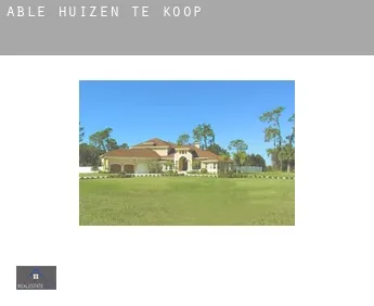 Able  huizen te koop