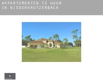 Appartementen te huur in  Niedergrützenbach