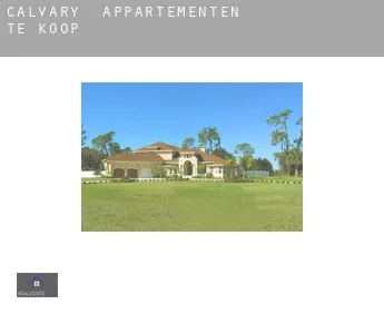 Calvary  appartementen te koop